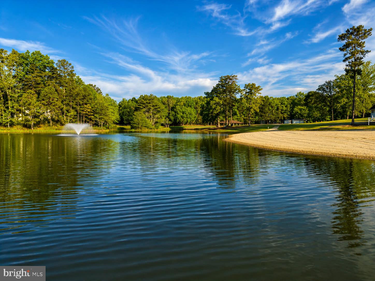 209 Estate Drive Ruther Glen, VA 22546 - Photo 49 of 67 Tranquil lake with lush greenery.