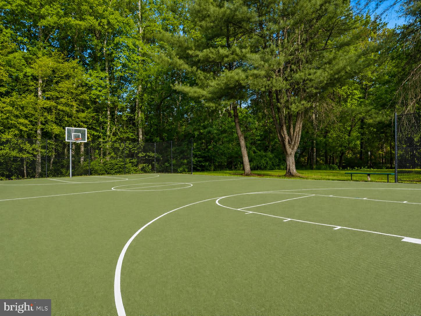 209 Estate Drive Ruther Glen, VA 22546 - Photo 57 of 67 a view of a tennis court