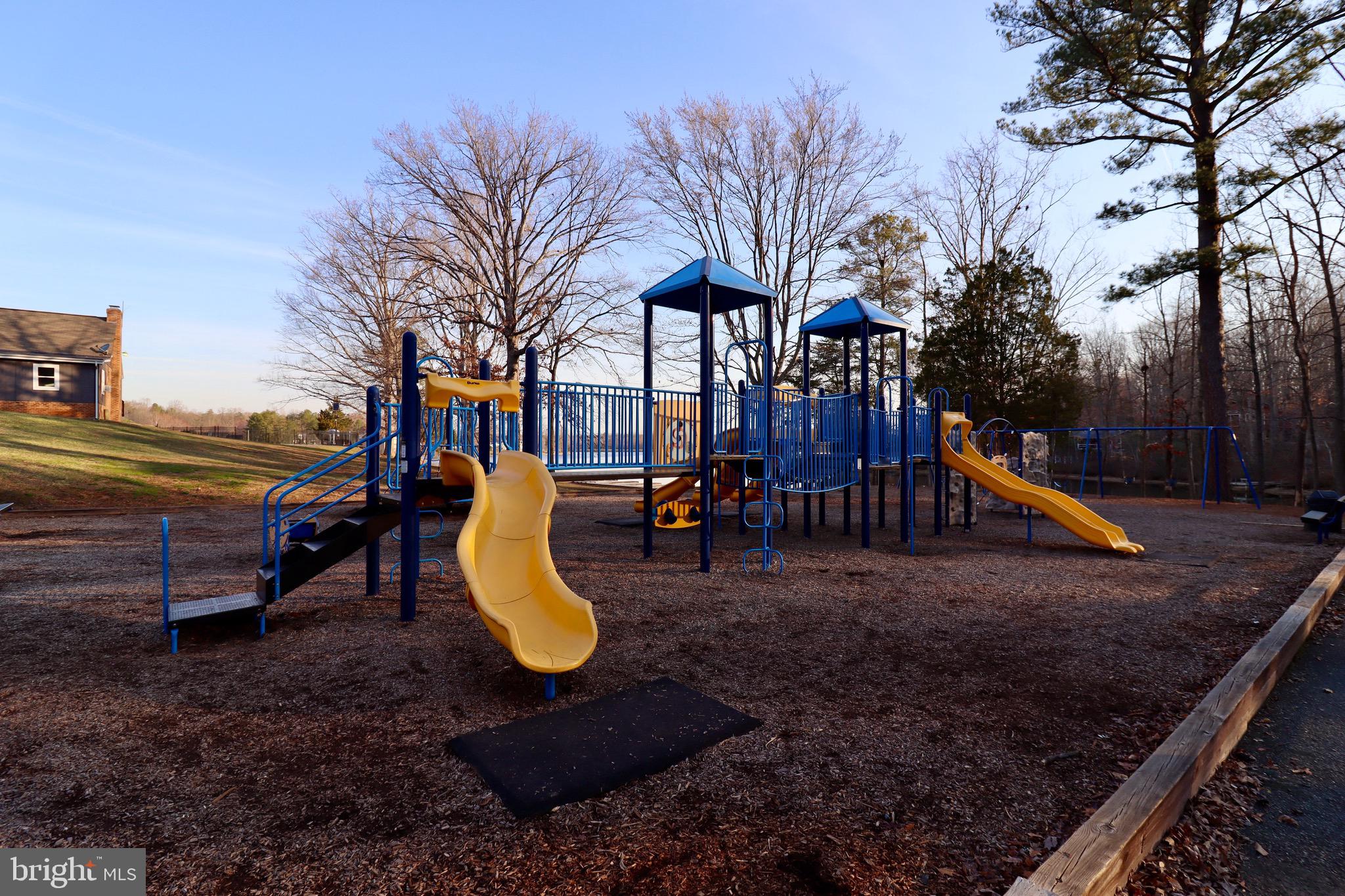 209 Estate Drive Ruther Glen, VA 22546 - Photo 58 of 67 a view of a park with slide and a slide