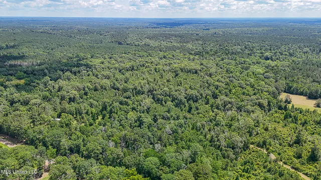 $775,000 | 2548 Furrs Mill Drive Northeast, Wesson, MS 39191