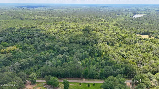 $775,000 | 2548 Furrs Mill Drive Northeast, Wesson, MS 39191