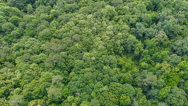 $775,000 | 2548 Furrs Mill Drive Northeast, Wesson, MS 39191