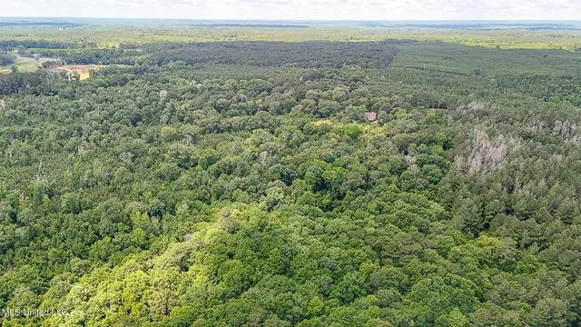 $775,000 | 2548 Furrs Mill Drive Northeast, Wesson, MS 39191