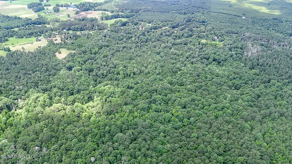 $775,000 | 2548 Furrs Mill Drive Northeast, Wesson, MS 39191