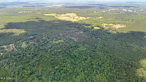 $775,000 | 2548 Furrs Mill Drive Northeast, Wesson, MS 39191