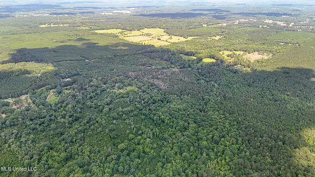 $775,000 | 2548 Furrs Mill Drive Northeast, Wesson, MS 39191