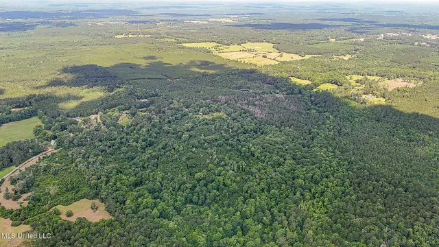 $775,000 | 2548 Furrs Mill Drive Northeast, Wesson, MS 39191