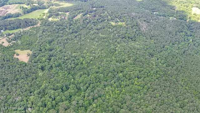 $775,000 | 2548 Furrs Mill Drive Northeast, Wesson, MS 39191