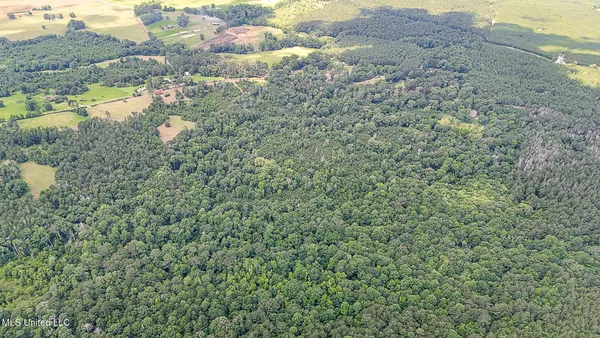 $775,000 | 2548 Furrs Mill Drive Northeast, Wesson, MS 39191