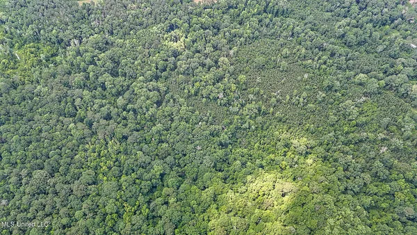 $775,000 | 2548 Furrs Mill Drive Northeast, Wesson, MS 39191