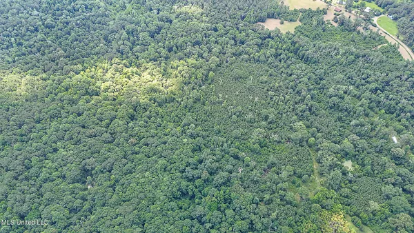 $775,000 | 2548 Furrs Mill Drive Northeast, Wesson, MS 39191