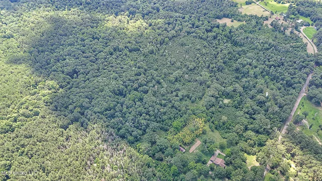 $775,000 | 2548 Furrs Mill Drive Northeast, Wesson, MS 39191