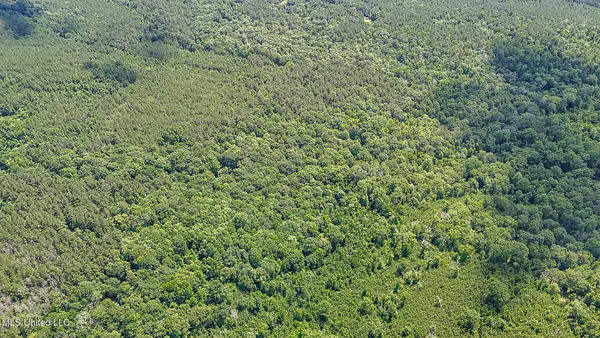 $775,000 | 2548 Furrs Mill Drive Northeast, Wesson, MS 39191