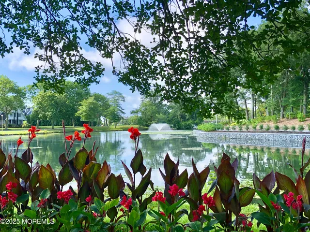 a view of flowers in a park