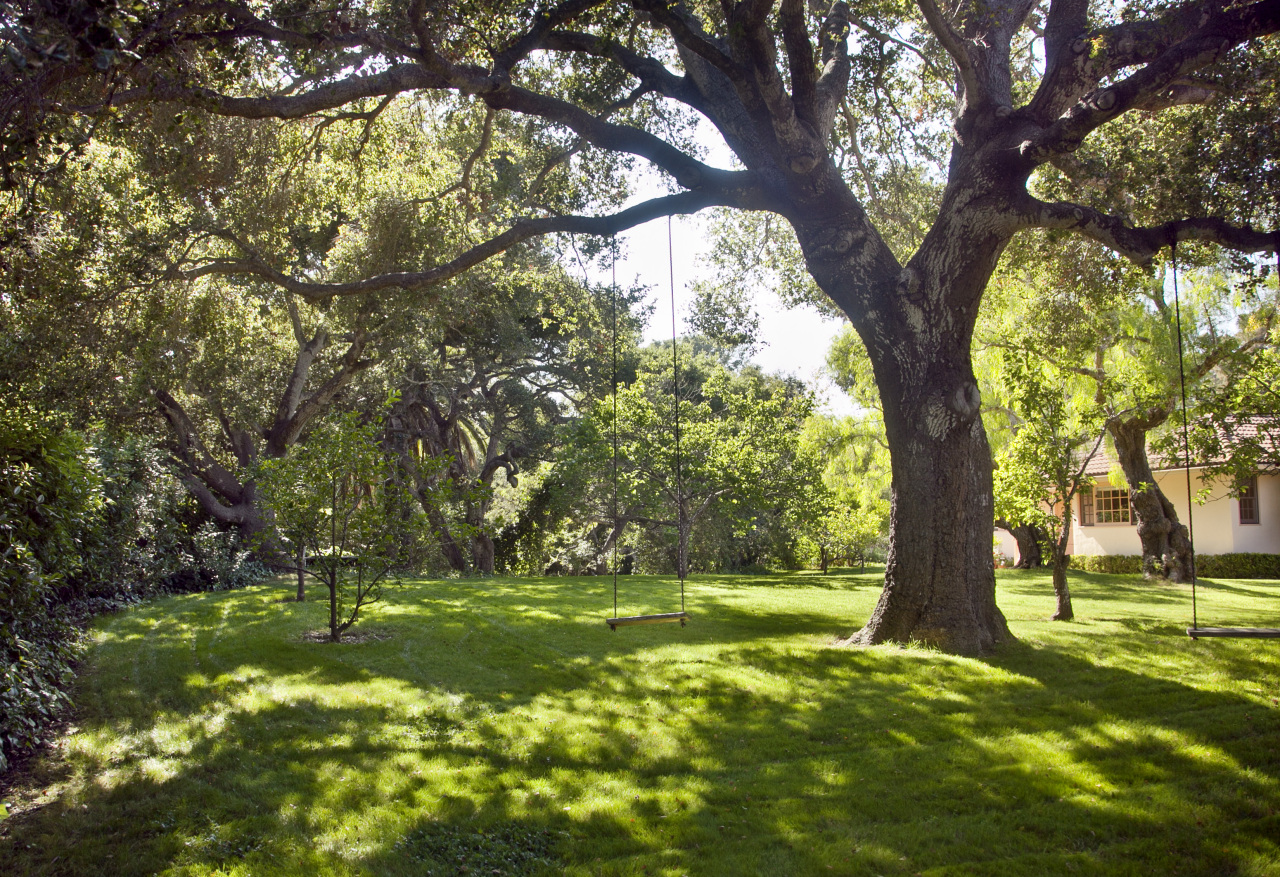 1325 School House Road Santa Barbara, CA 93108 - Photo 9 of 12 Side Yard