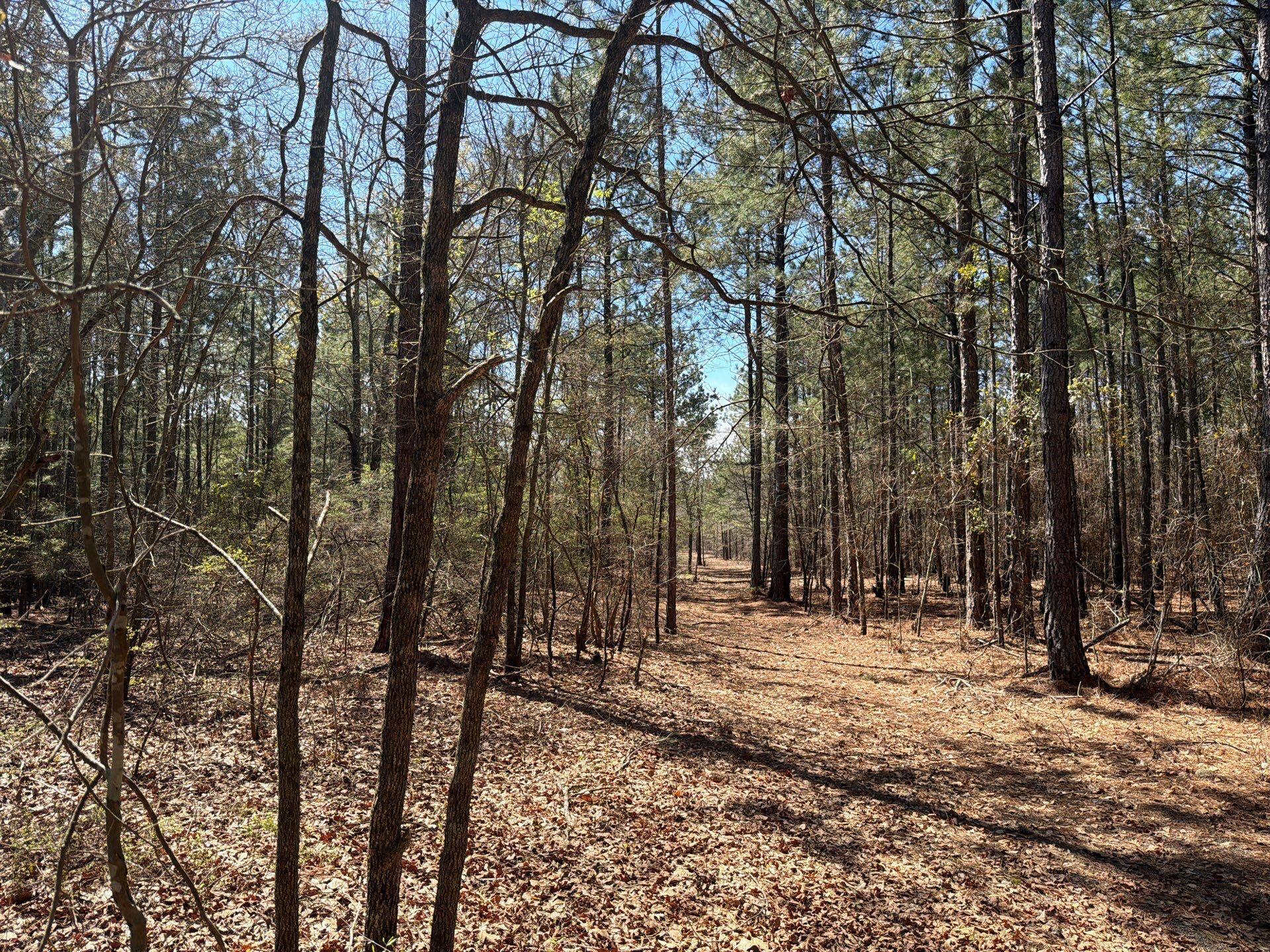 11 Boise Cascade, Unit BHL 11 Bethune, SC 29009 - Photo 12 of 24 13-Mar 18 2026 04_40pm-cCkd