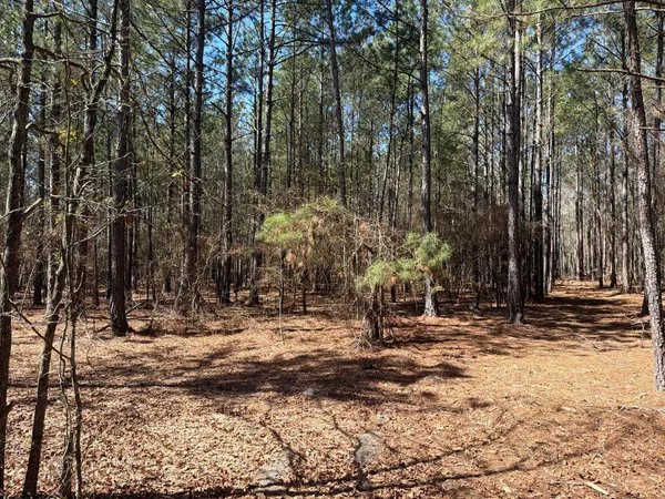 $94,900 | 11 Boise Cascade, Unit BHL 11, Bethune, SC 29009