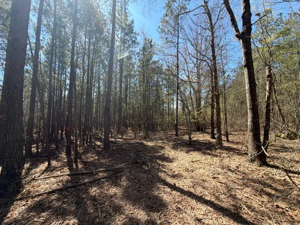 $94,900 | 11 Boise Cascade, Unit BHL 11, Bethune, SC 29009