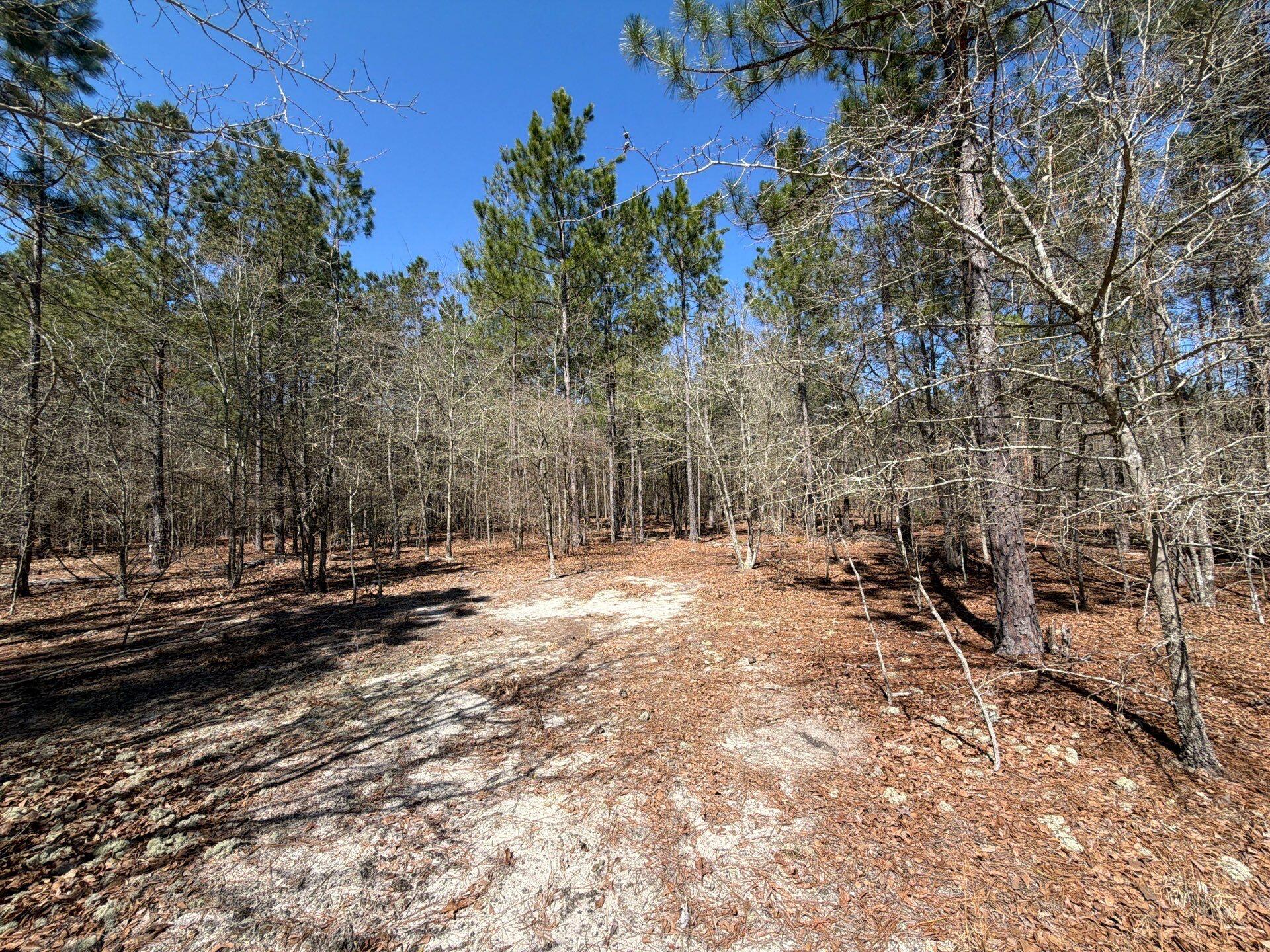 11 Boise Cascade, Unit BHL 11 Bethune, SC 29009 - Photo 16 of 24 9-Mar 18 2026 04_38pm-mByX