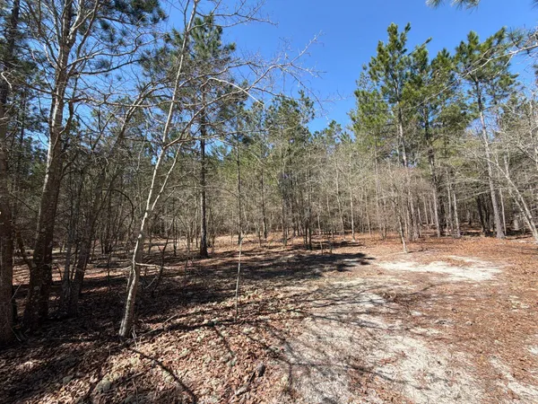 $94,900 | 11 Boise Cascade, Unit BHL 11, Bethune, SC 29009