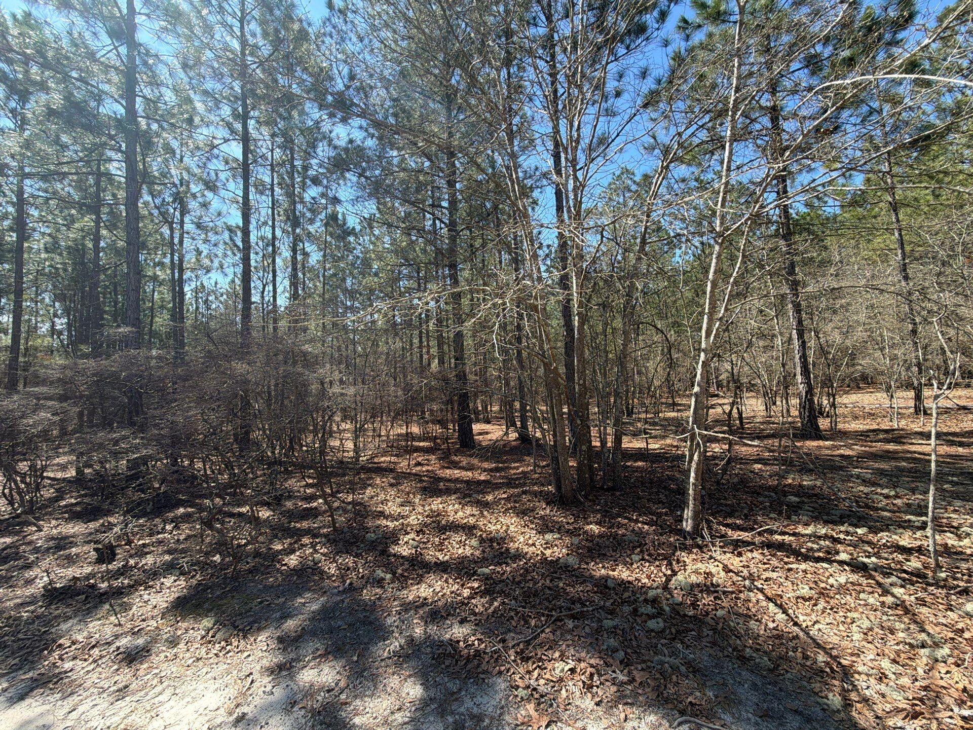 11 Boise Cascade, Unit BHL 11 Bethune, SC 29009 - Photo 18 of 24 7-Mar 18 2026 04_37pm-YF3Y