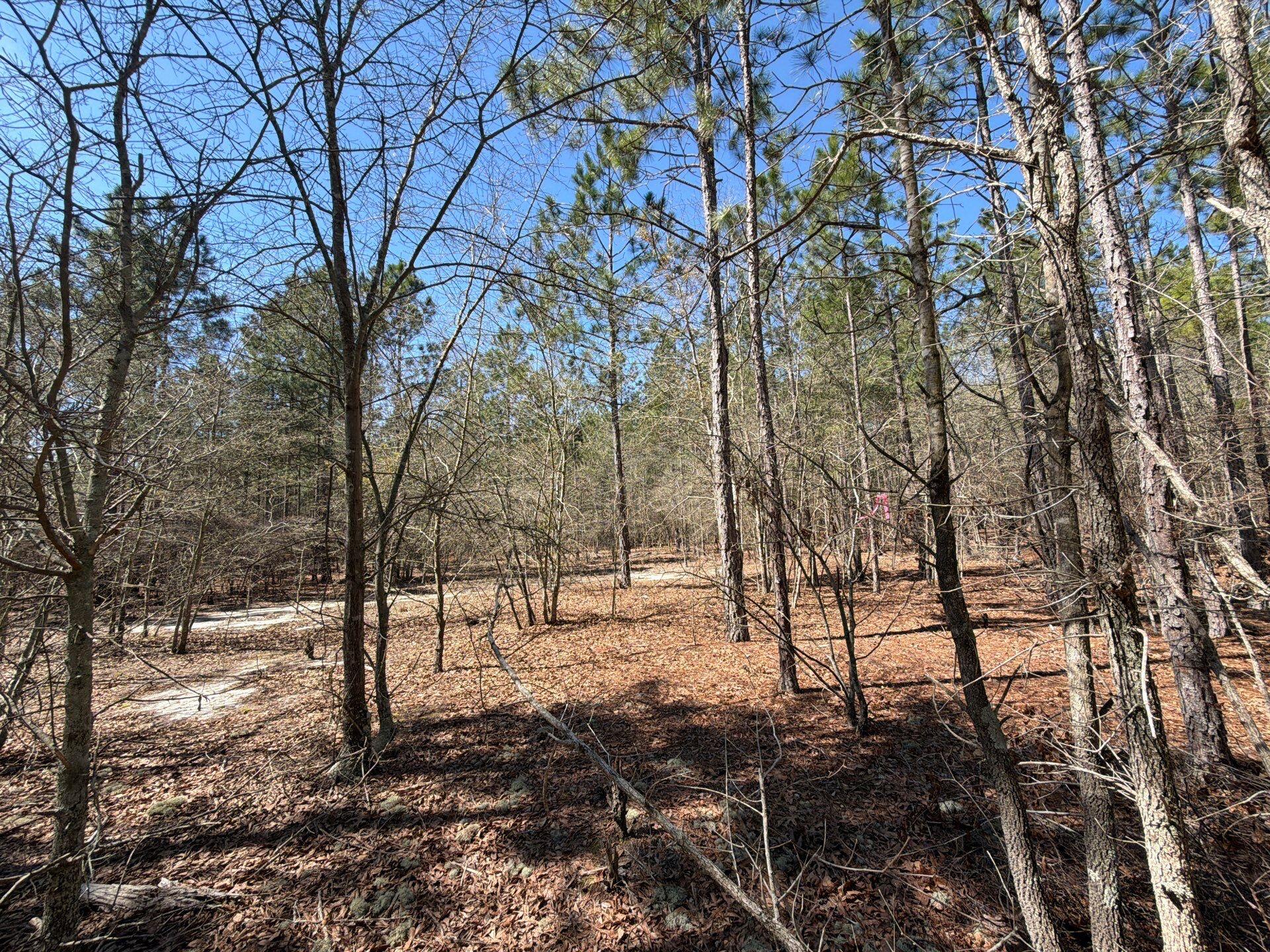 11 Boise Cascade, Unit BHL 11 Bethune, SC 29009 - Photo 20 of 24 5-Mar 18 2026 04_37pm-V4TL