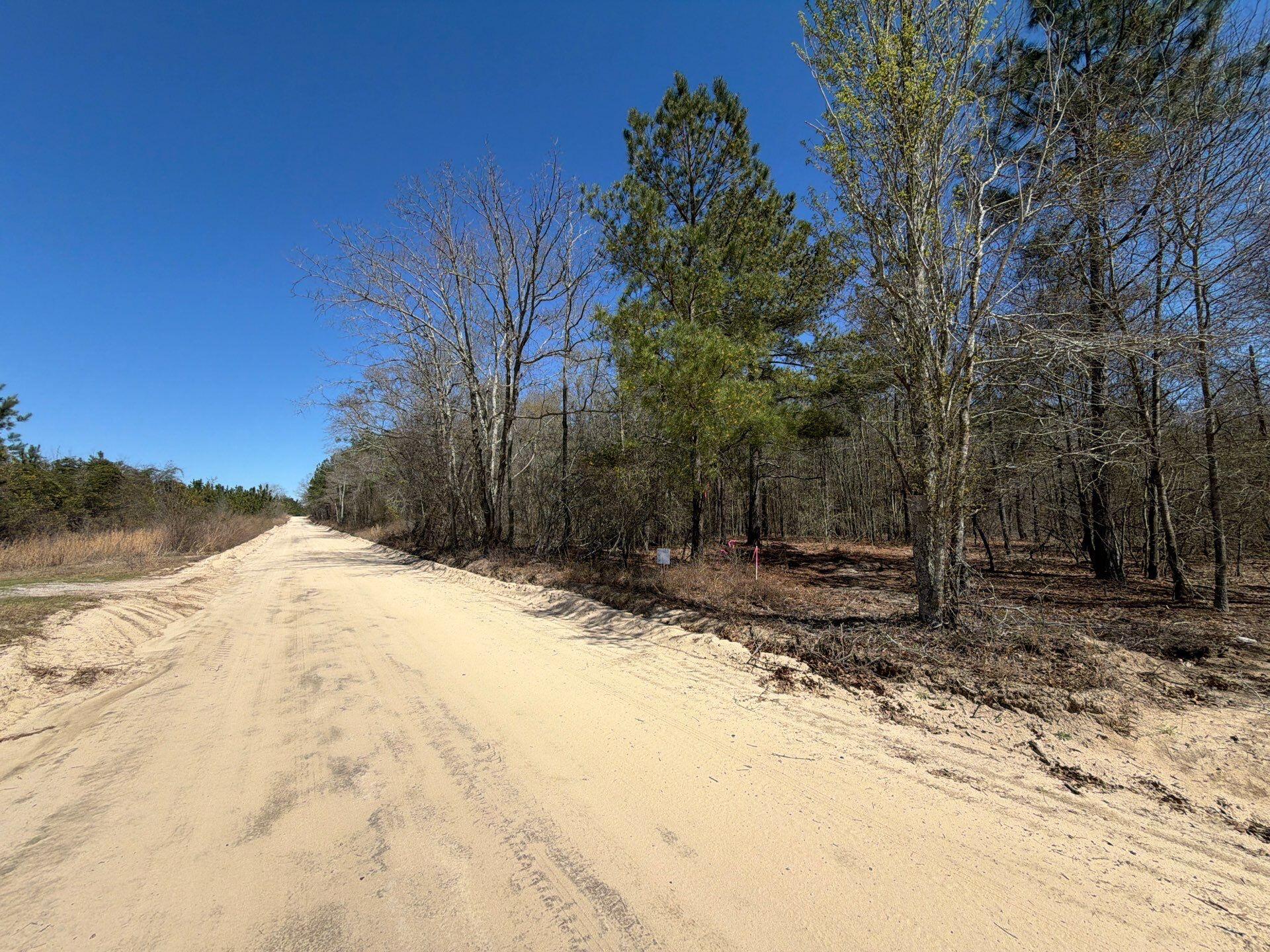 11 Boise Cascade, Unit BHL 11 Bethune, SC 29009 - Photo 2 of 24 24-Mar 18 2026 04_50pm-qm3U