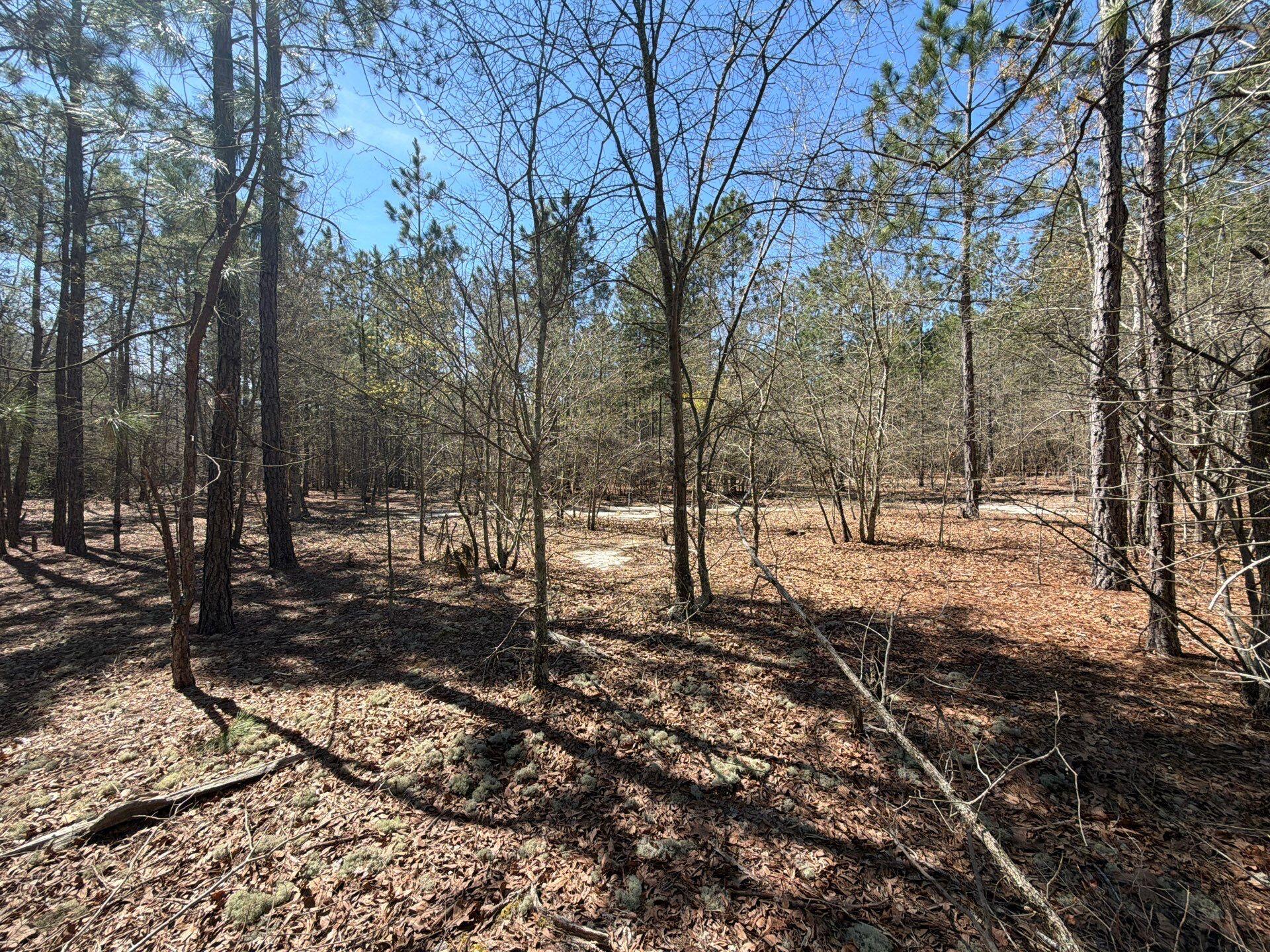 11 Boise Cascade, Unit BHL 11 Bethune, SC 29009 - Photo 21 of 24 4-Mar 18 2026 04_37pm-5zTG