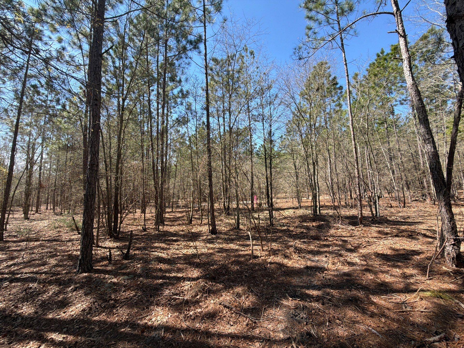 11 Boise Cascade, Unit BHL 11 Bethune, SC 29009 - Photo 23 of 24 2-Mar 18 2026 04_37pm-RNSL