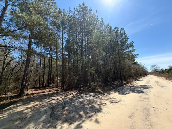 $94,900 | 11 Boise Cascade, Unit BHL 11, Bethune, SC 29009