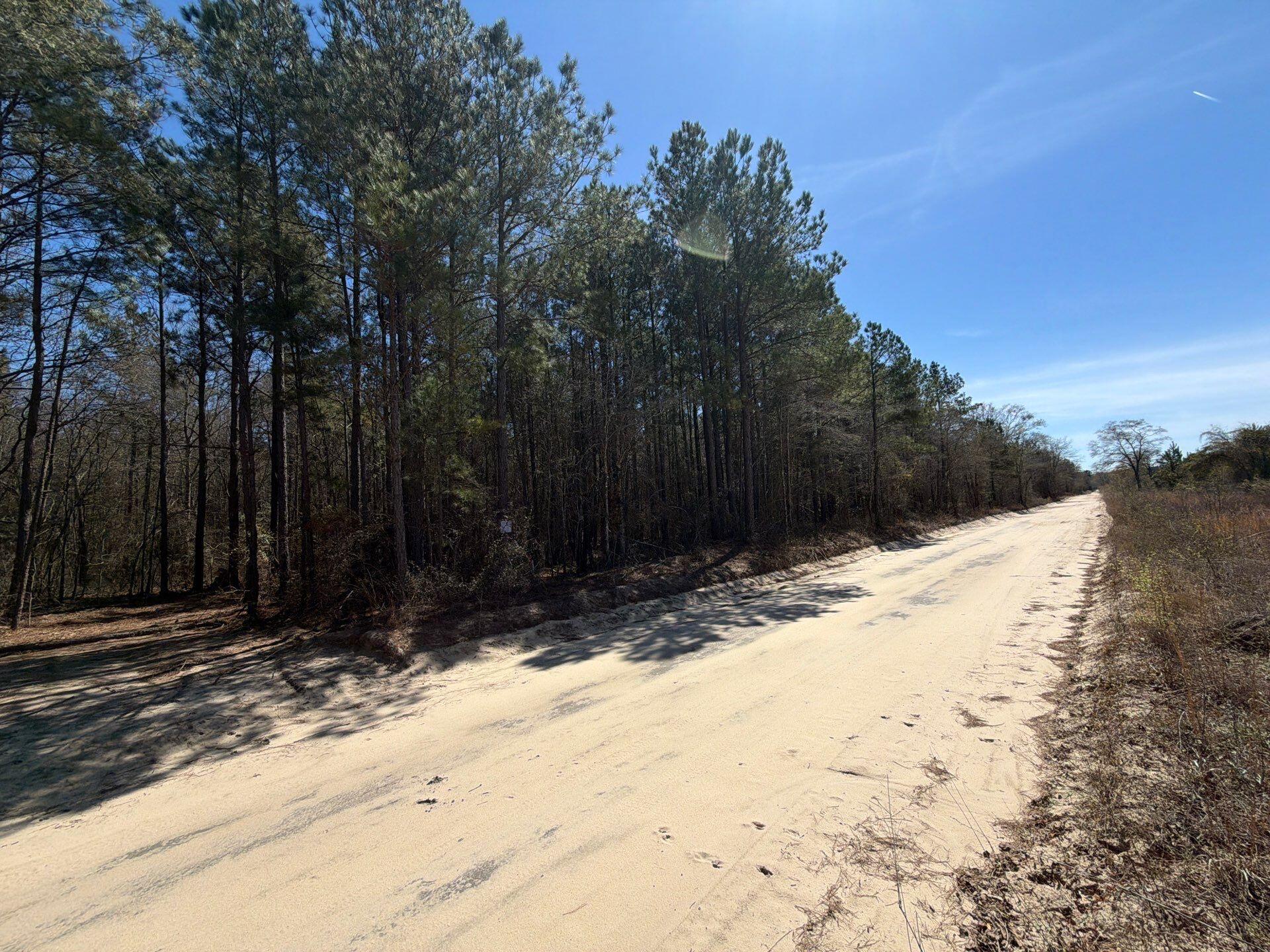 11 Boise Cascade, Unit BHL 11 Bethune, SC 29009 - Photo 4 of 24 22-Mar 18 2026 04_45pm-MrNq