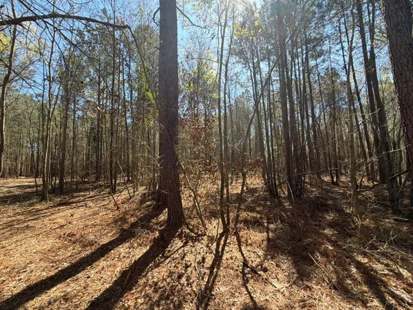 $94,900 | 11 Boise Cascade, Unit BHL 11, Bethune, SC 29009