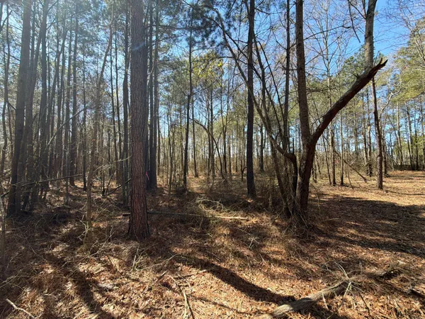 $94,900 | 11 Boise Cascade, Unit BHL 11, Bethune, SC 29009