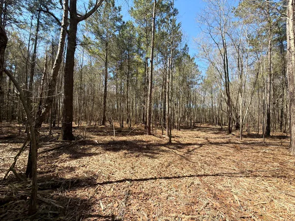 $94,900 | 11 Boise Cascade, Unit BHL 11, Bethune, SC 29009