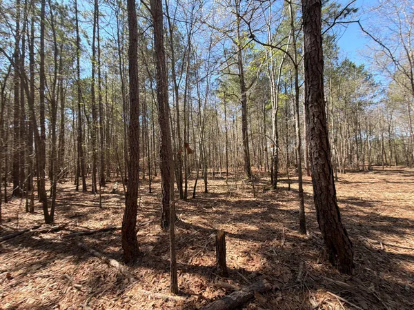 $94,900 | 11 Boise Cascade, Unit BHL 11, Bethune, SC 29009