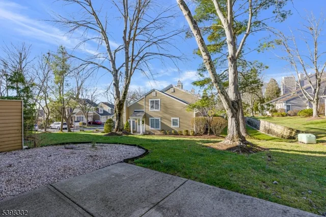 a view of a yard with plants and a large tree