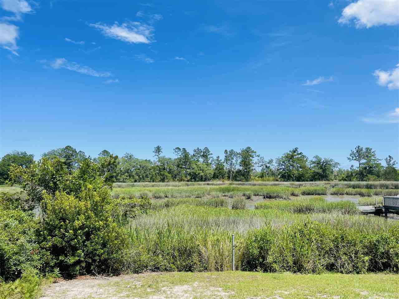 3297 Horseshoe Cove Road Waverly, GA 31565 - Photo 13 of 22