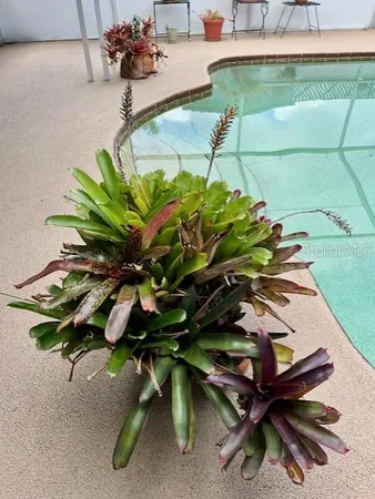 $3,995 | 3131 Lowndes Drive, Winter Park, FL 32792