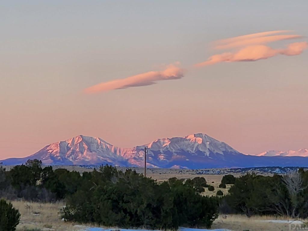 801 Turkey Rdg Road East Walsenburg, CO 81089 - Photo 4 of 58