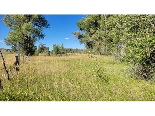 a open area with green field