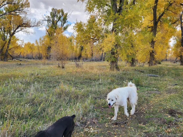 $740,000 | 12753 13.5, Antonito, CO 81120