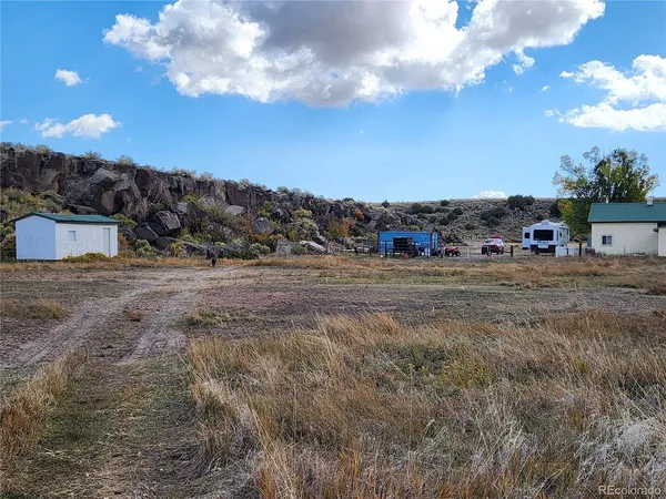a view of a dry yard