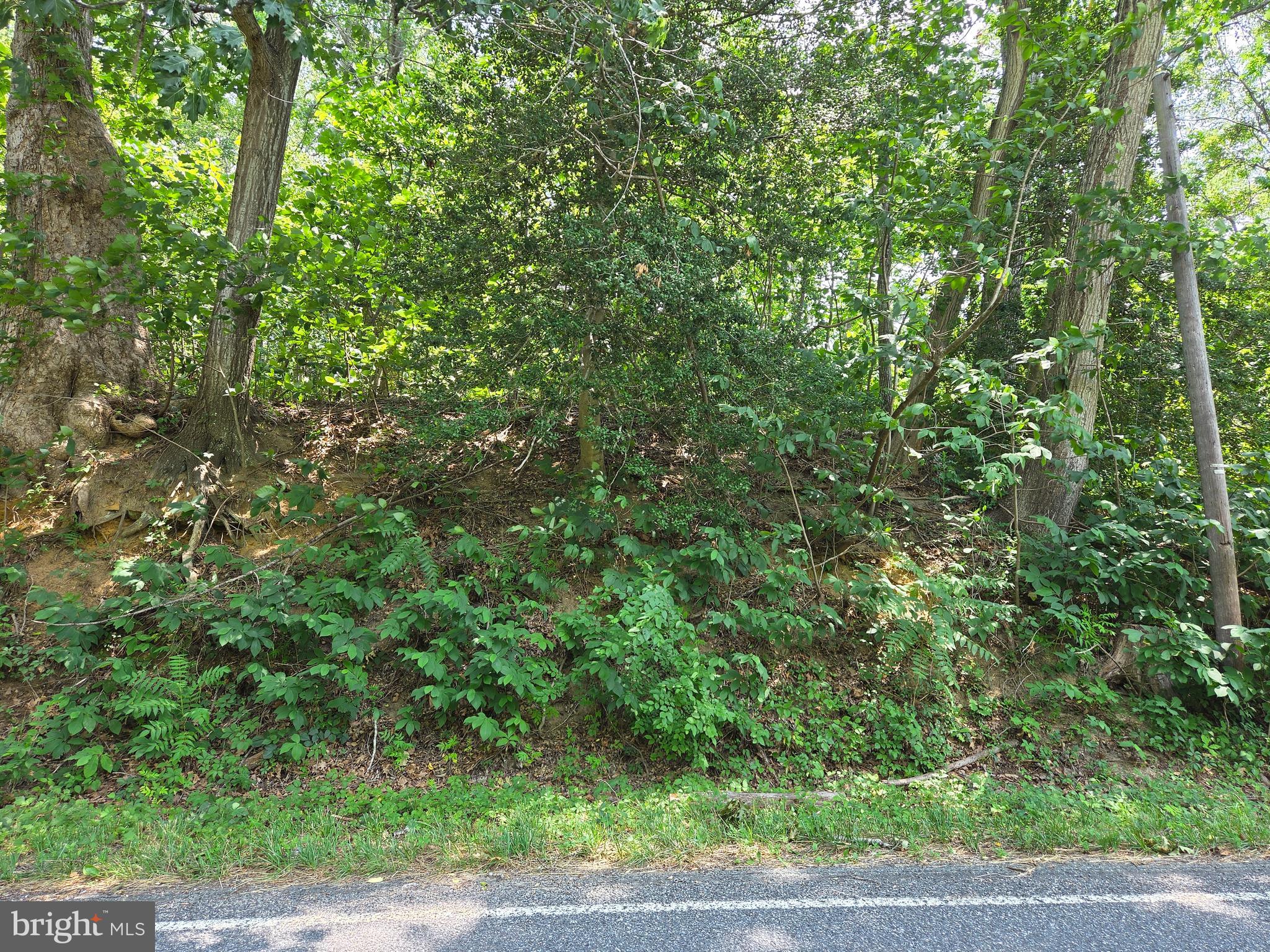 Lot 29 Prospect Hill Road Montross, VA 22520 - Photo 1 of 3