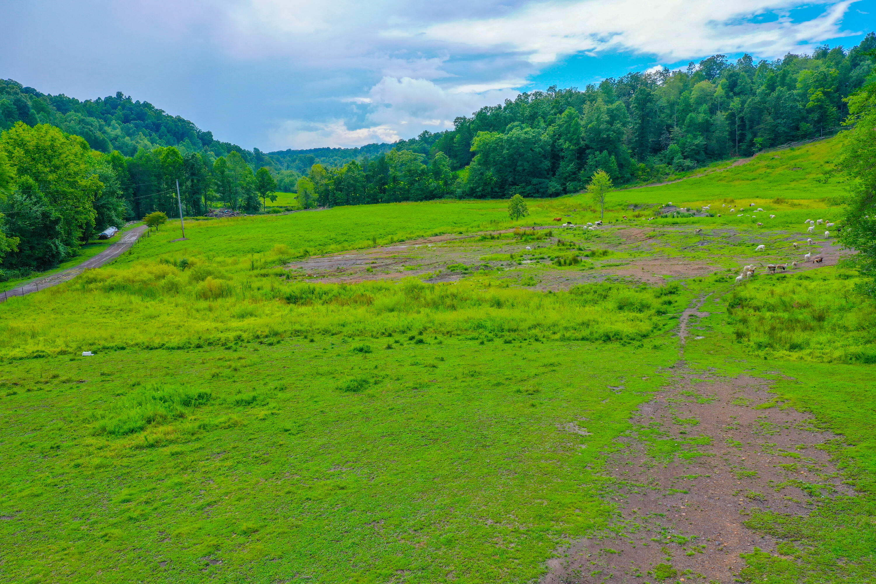 45 Banks Cemetery Road London, KY 40741 - Photo 51 of 131 DJI_0454-HDR