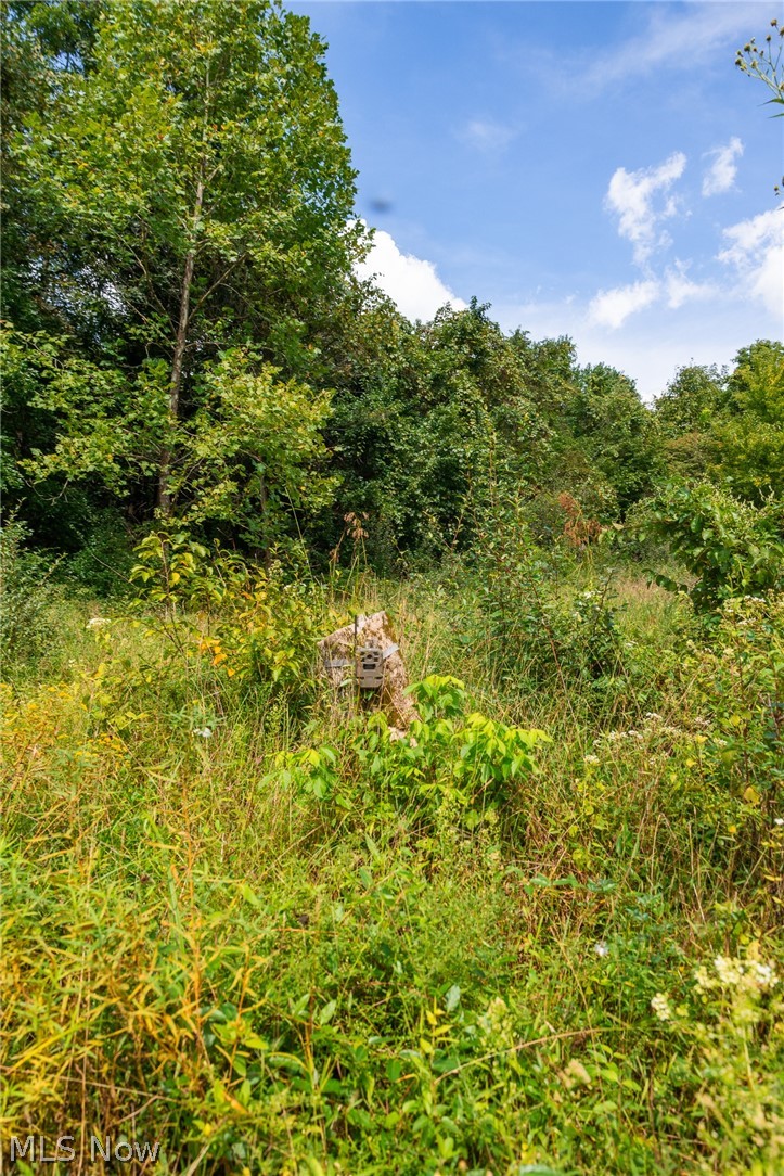 27339 Tabor Ridge Road, Unit 2 Caldwell, OH 43724 - Photo 25 of 50 Gallery Image 25
