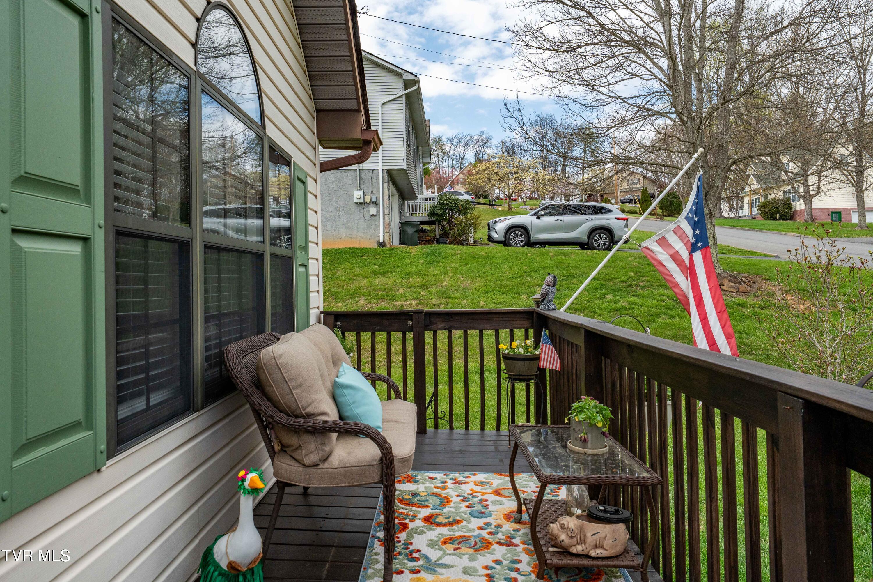 253 Springview Drive Gray, TN 37615 - Photo 32 of 45 253 Springview Dr (9 of 46)