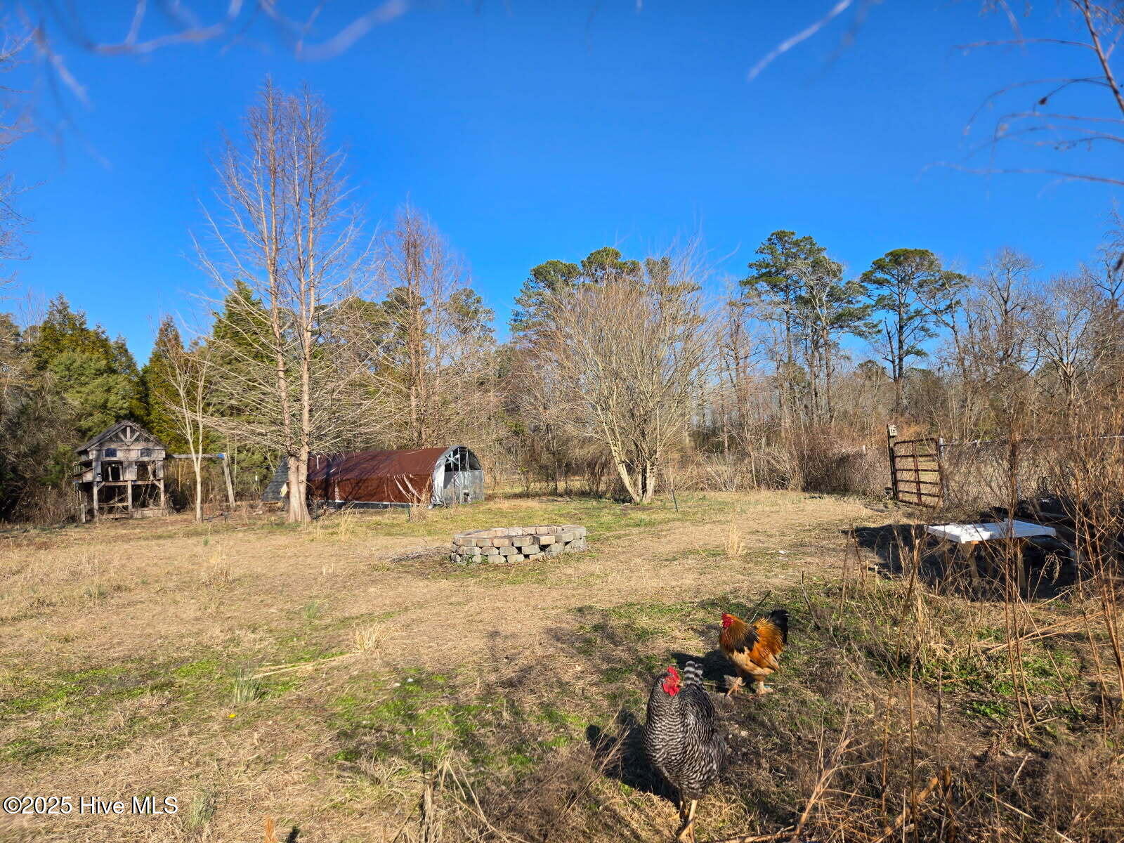 1600 Cool Spring Road Ernul, NC 28527 - Photo 20 of 68 image000000 (1)