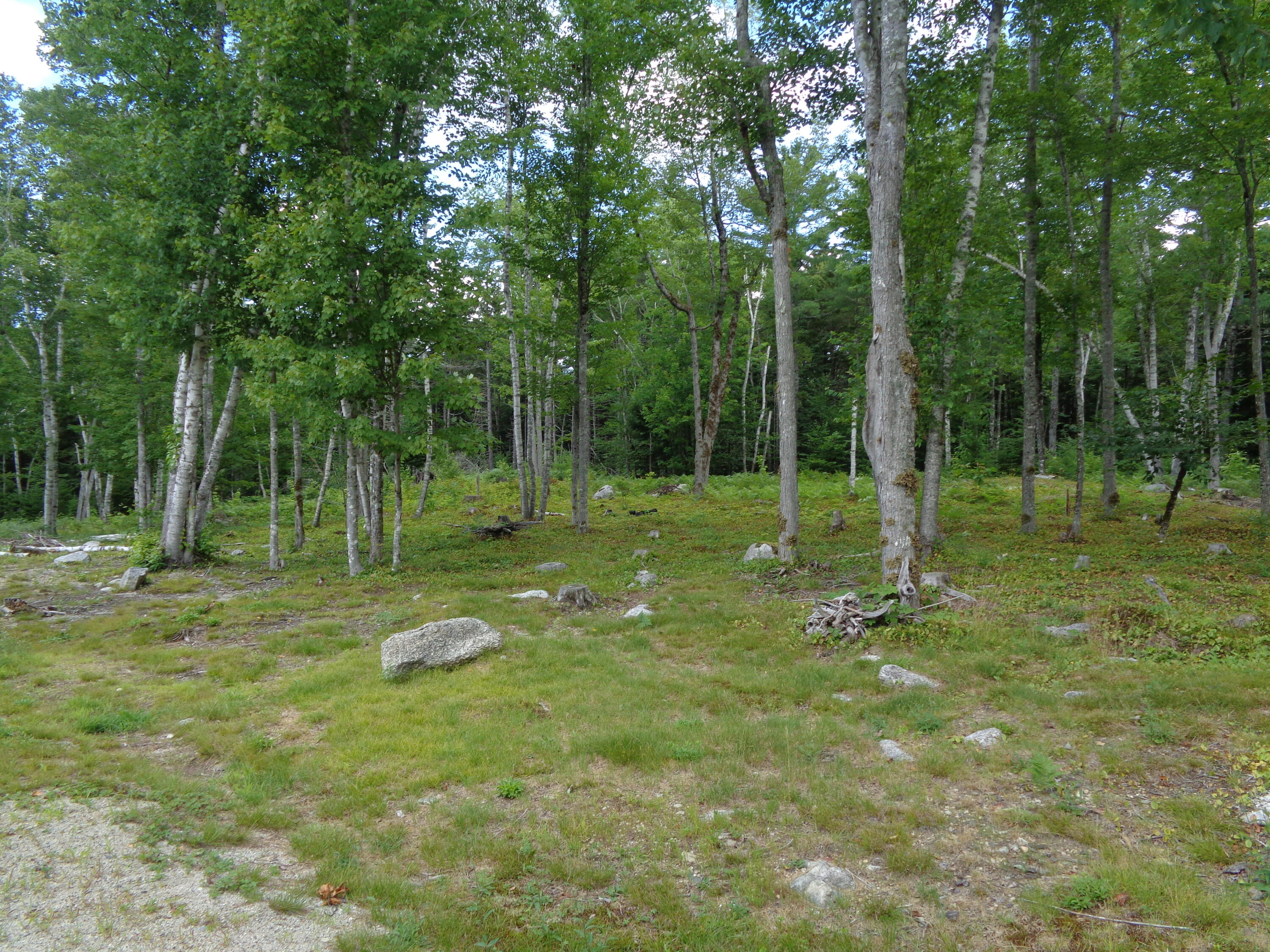 940 Macomber Mill Road Eastbrook, ME 04634 - Photo 47 of 62 13 acres of land