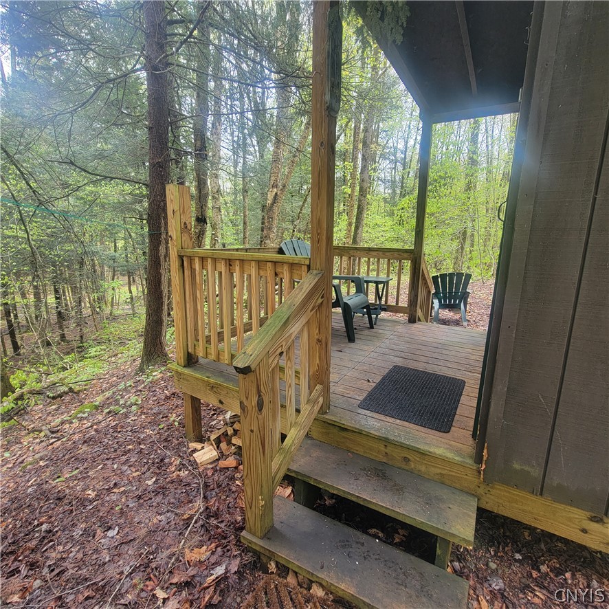 0 Dolly Road Camden, NY 13316 - Photo 4 of 6
