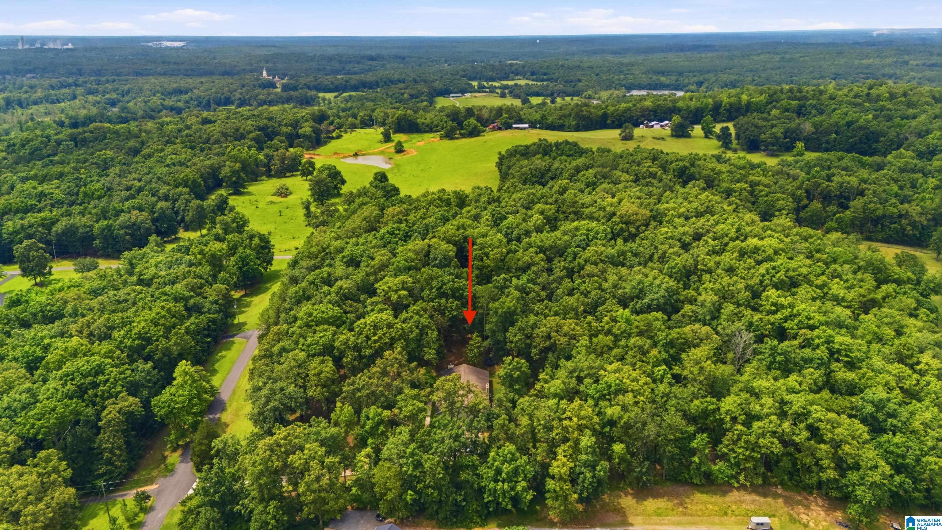 231 Country Ridge Road Montevallo, AL 35115 - Photo 55 of 60